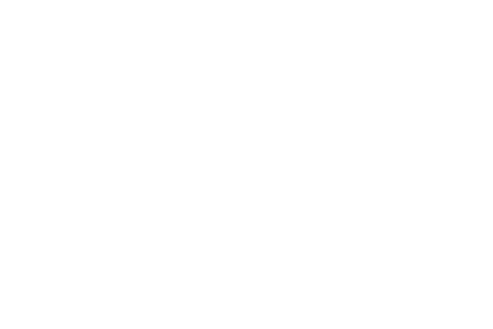 Blank white image placeholder.
