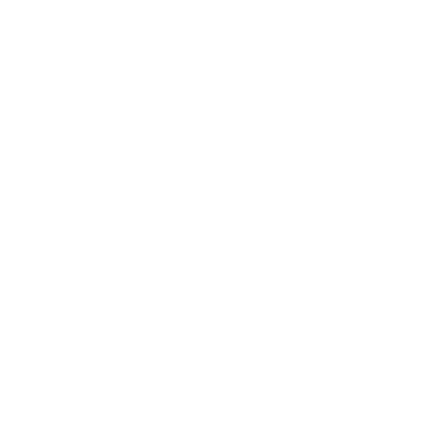 Blank white image with no visible content.